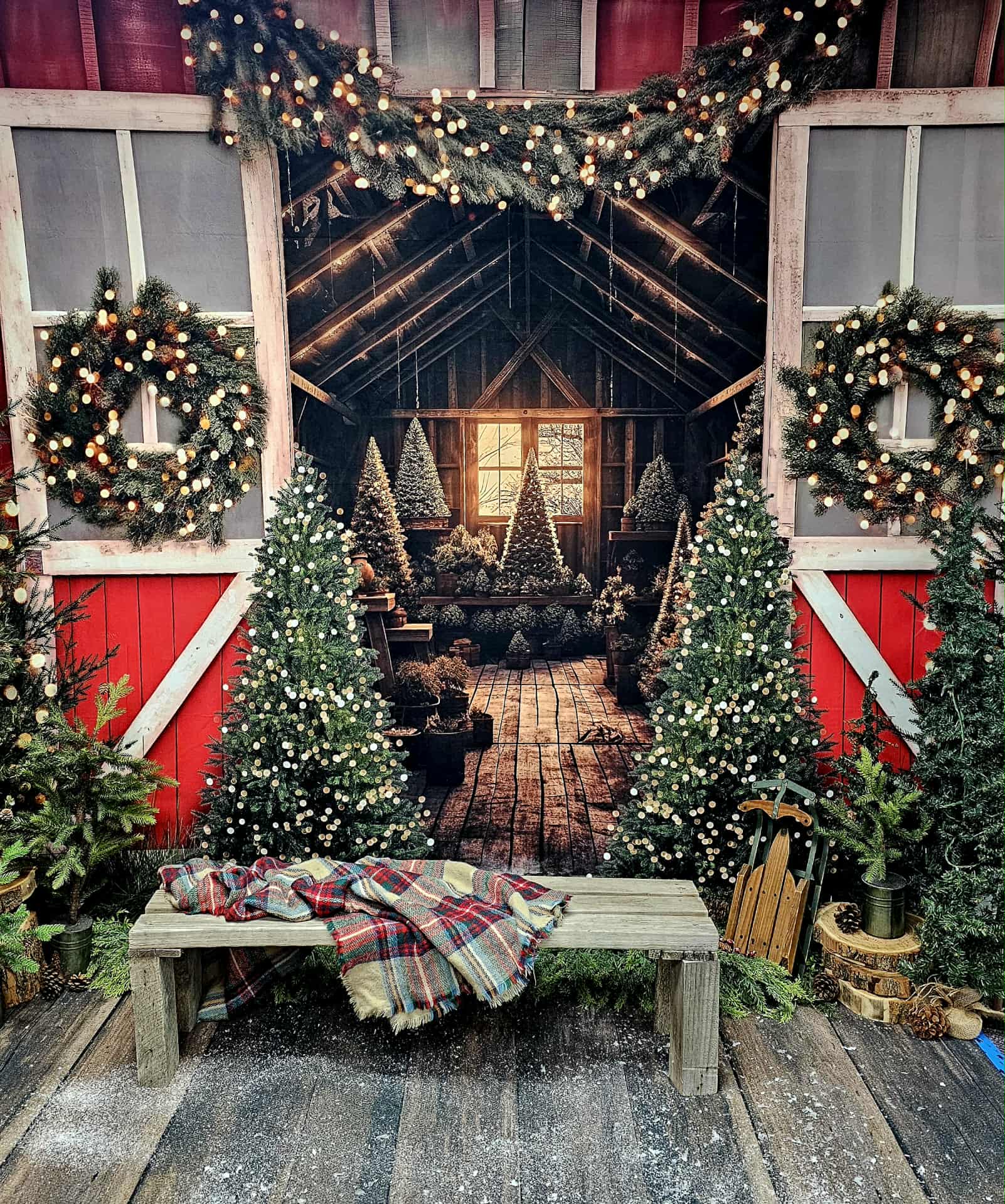 SANTA EXPERIENCE 2025 - Image 2