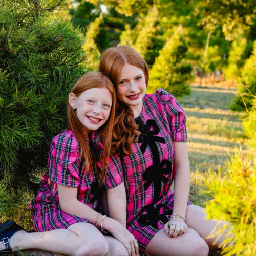 Christmas Tree Farm Mini